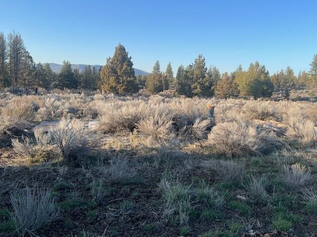 46038 Deer Springs Road, Unit LOT 4 Beatty, OR 97621 - Photo 2 of 2 3