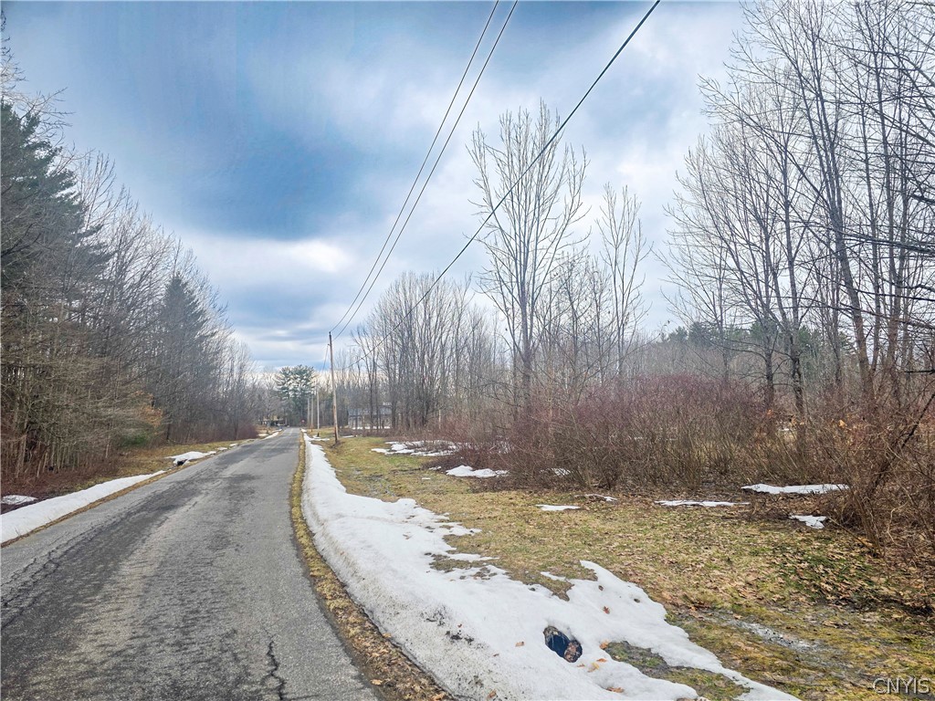 0 Depot Road Cleveland, NY 13042 - Photo 9 of 9