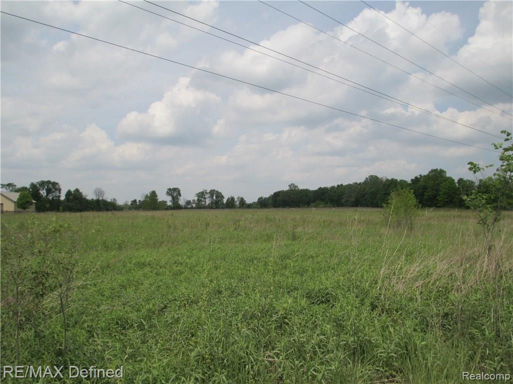 25459 25 Mile Road Chesterfield, MI 48051 - Photo 4 of 10