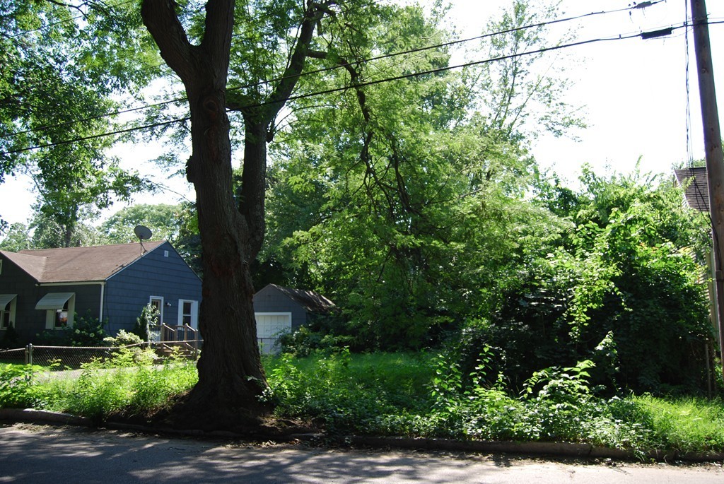 0 Georgetown Street Springfield, MA 01104 - Photo 2 of 3 a view of a yard in front of a house