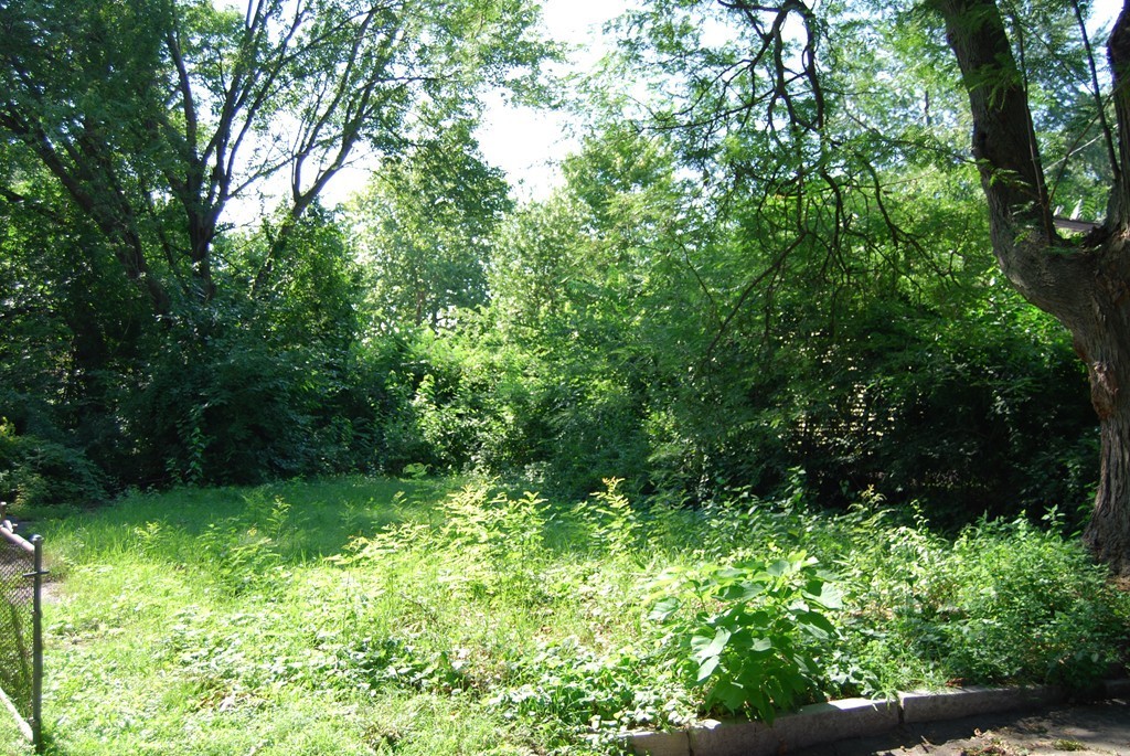 0 Georgetown Street Springfield, MA 01104 - Photo 3 of 3 a view of yard with green space