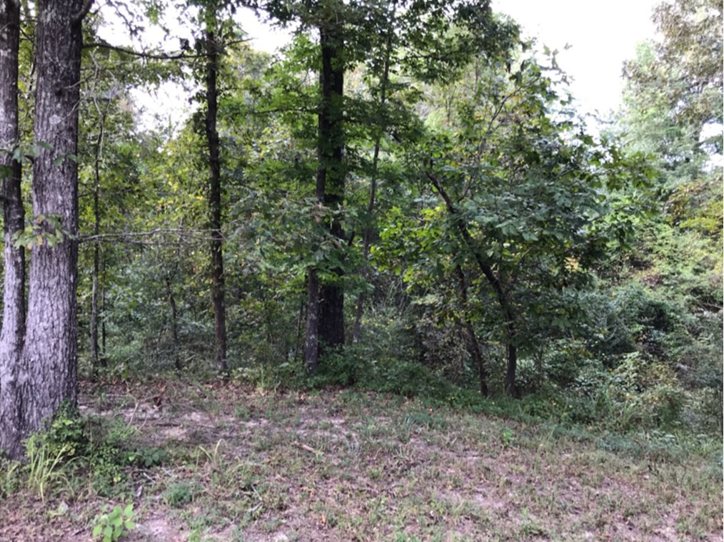 97 Jordan Hill Road Carson, MS 39427 - Photo 5 of 11 Photo 5