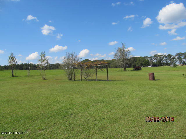 4564 Smokey Road Graceville, FL 32440 - Photo 30 of 40