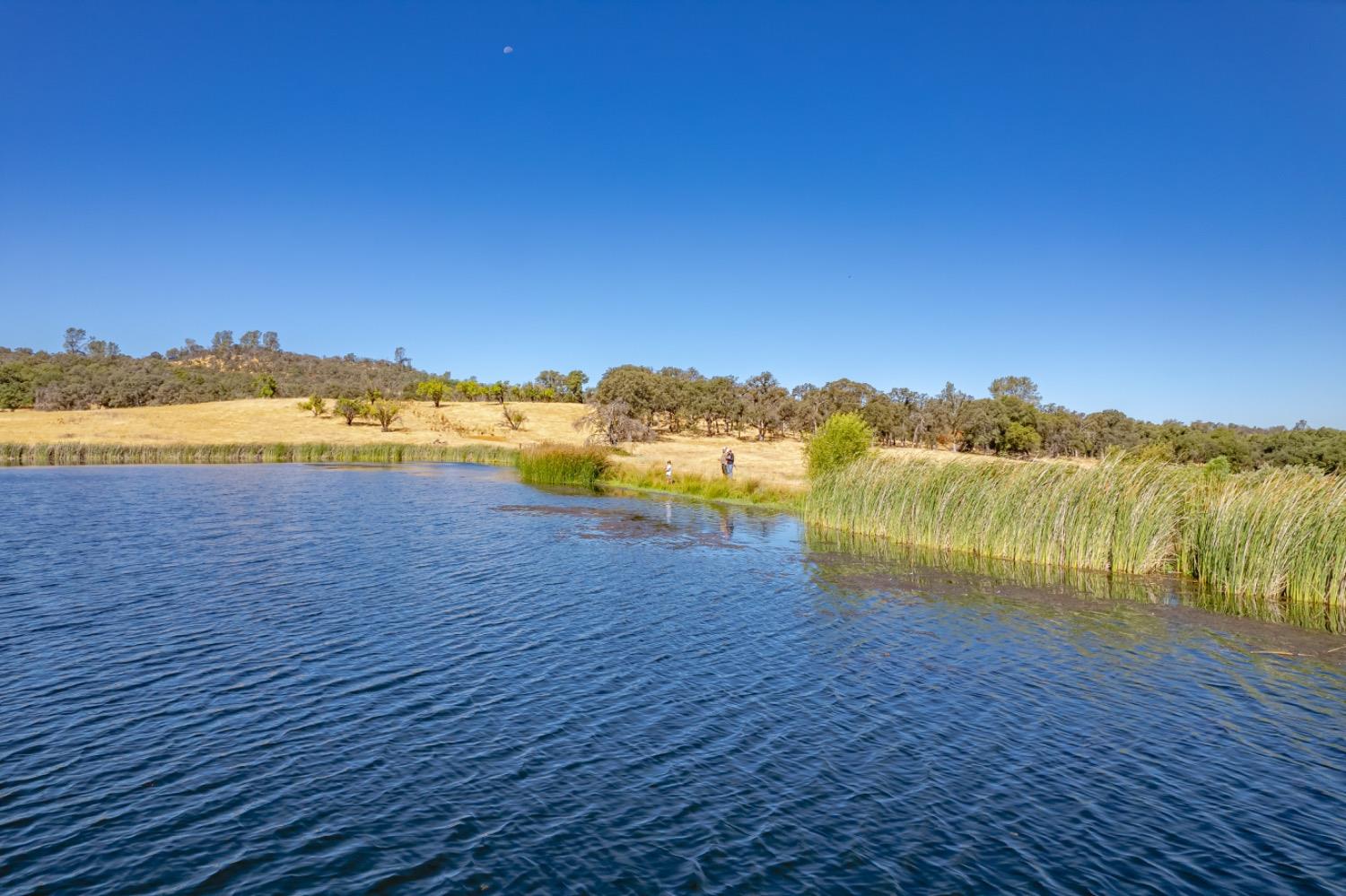 27044 McCourtney Road Grass Valley, CA 95949 - Photo 44 of 74