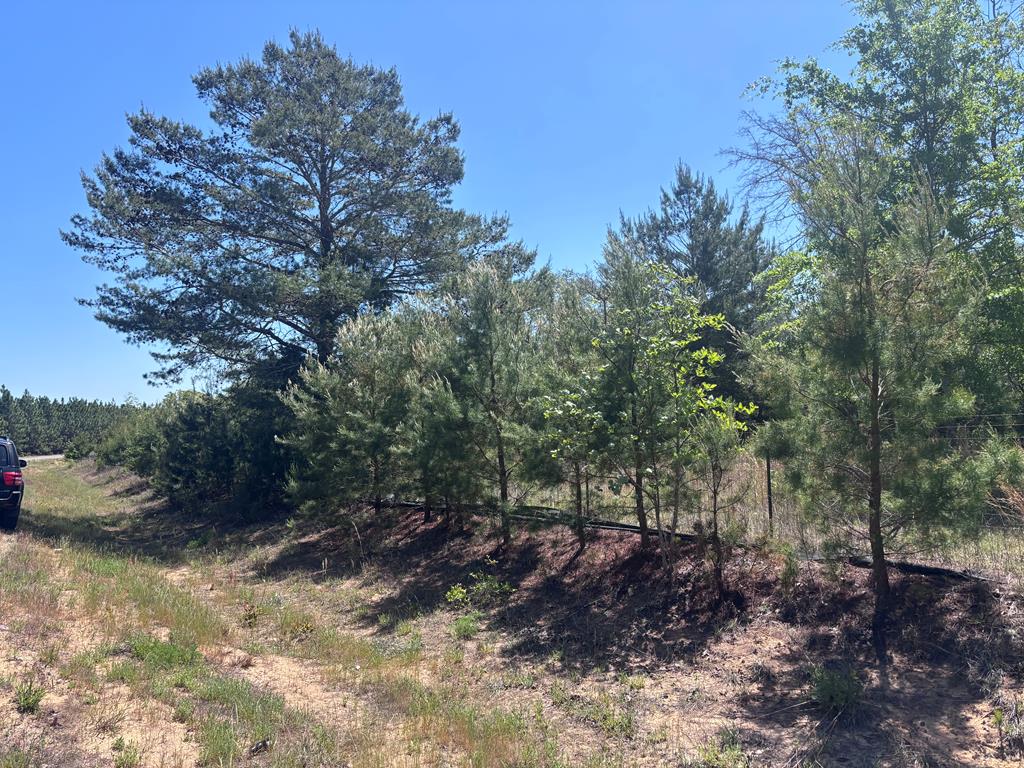 5-ac Kirkland Store Road Mauk, GA 31058 - Photo 5 of 17 Gallery Image 5
