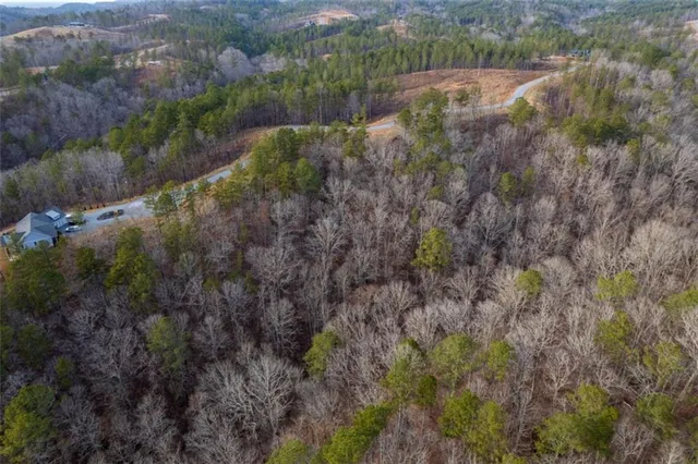 a view of a lush green forest with trees and some houses