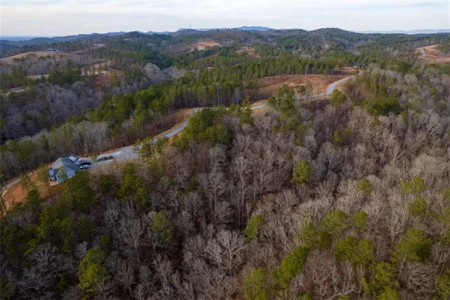 a view of a forest with a street