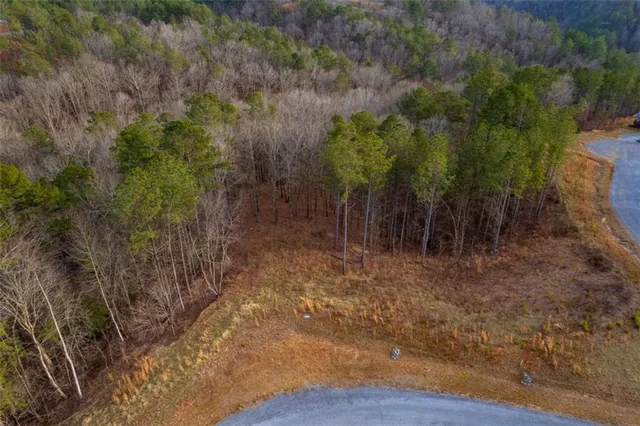a view of a city with lush green forest