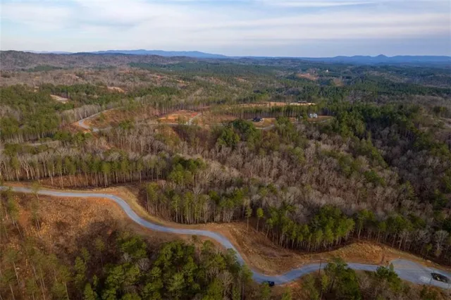 a view of a garden with a tree