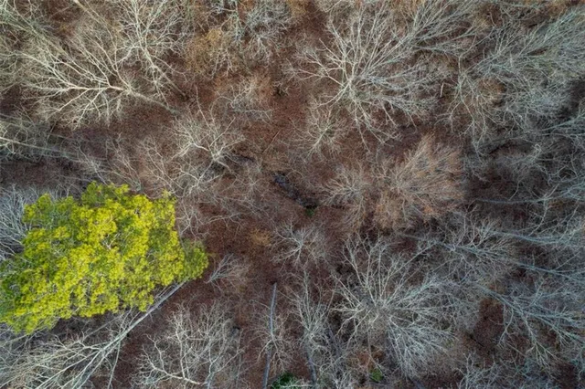 a view of lake with mountain