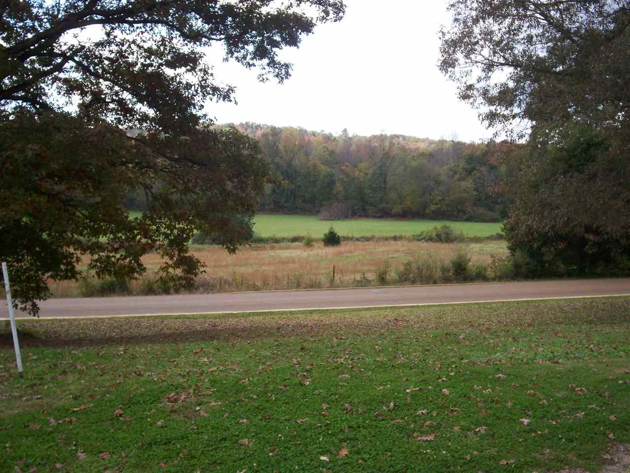 5425 Pine Top Road Henderson, TN 38340 - Photo 22 of 24 a view of a yard with an outdoor seating