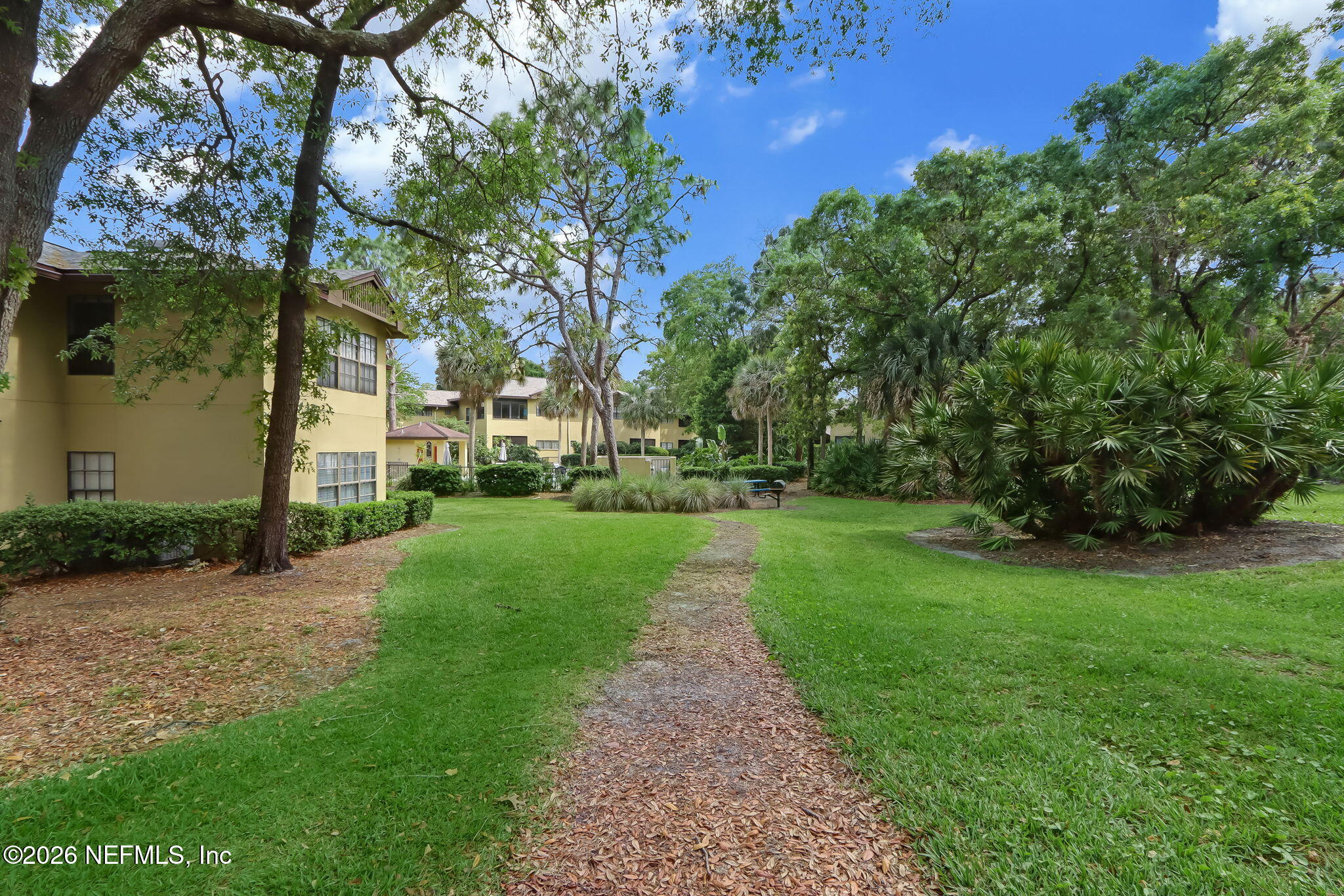 10150 Belle Rive Boulevard, Unit 1109 Jacksonville, FL 32256 - Photo 50 of 55 a view of a yard with plants and trees