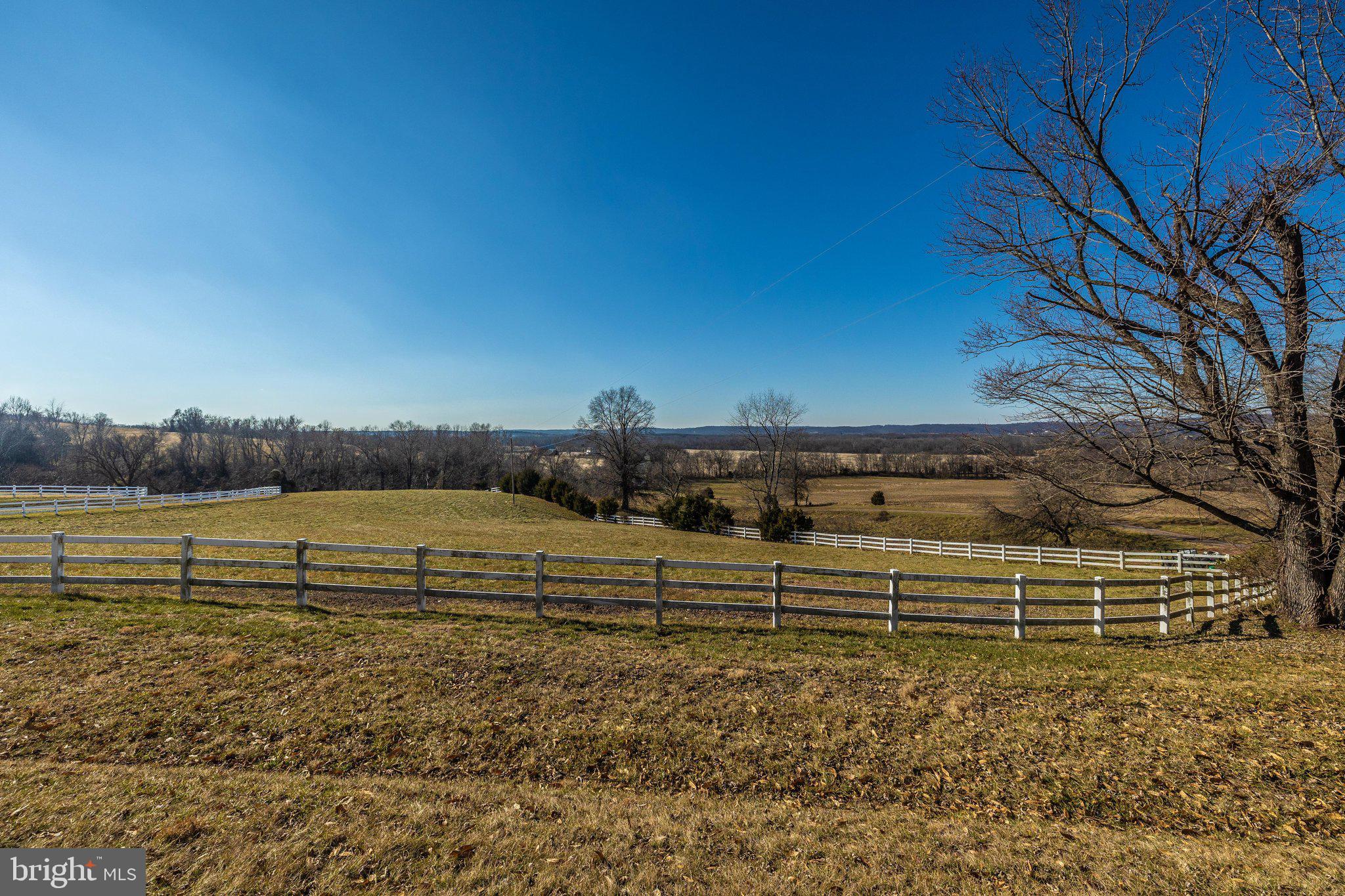 24009 Whites Ferry Road Dickerson, MD 20842 - Photo 44 of 72 EK_07038