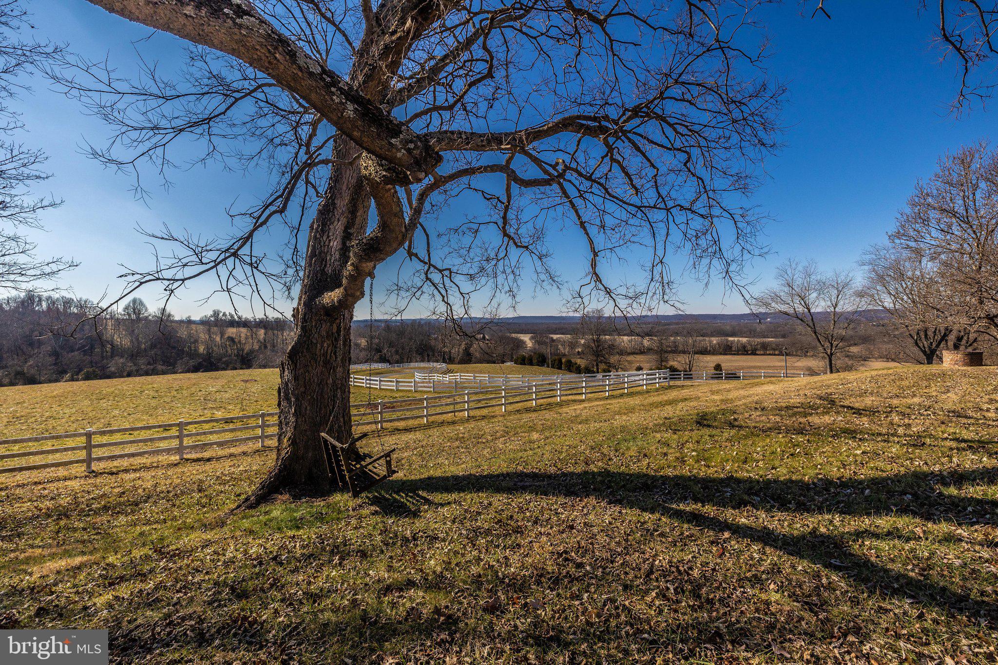 24009 Whites Ferry Road Dickerson, MD 20842 - Photo 49 of 72 EK_07053