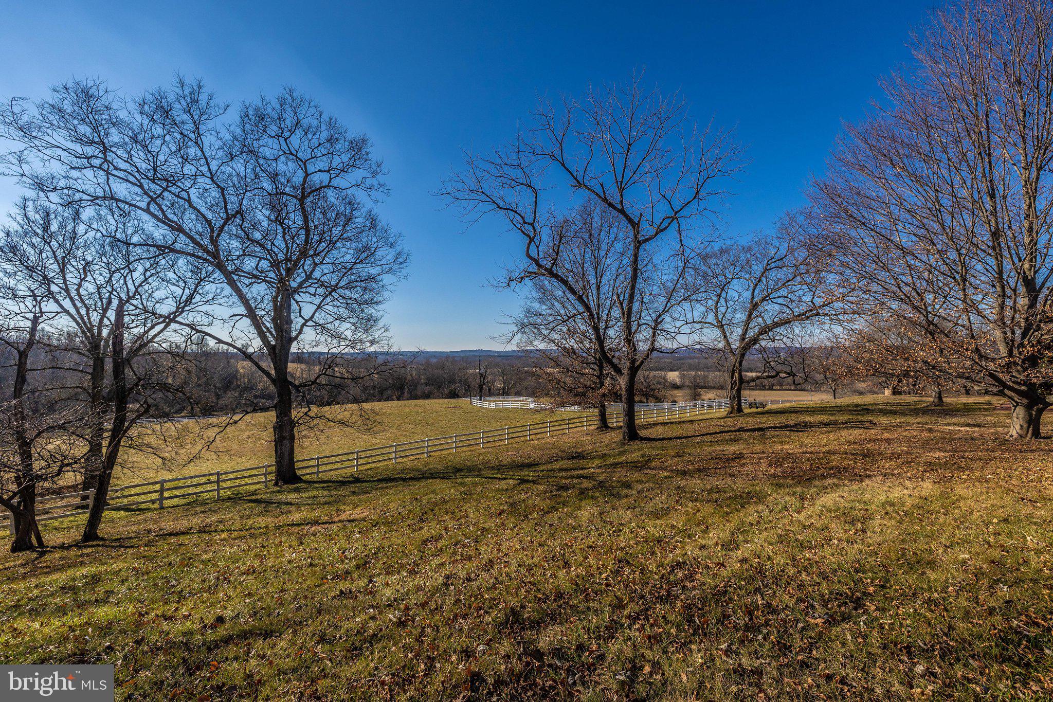 24009 Whites Ferry Road Dickerson, MD 20842 - Photo 51 of 72 EK_07059