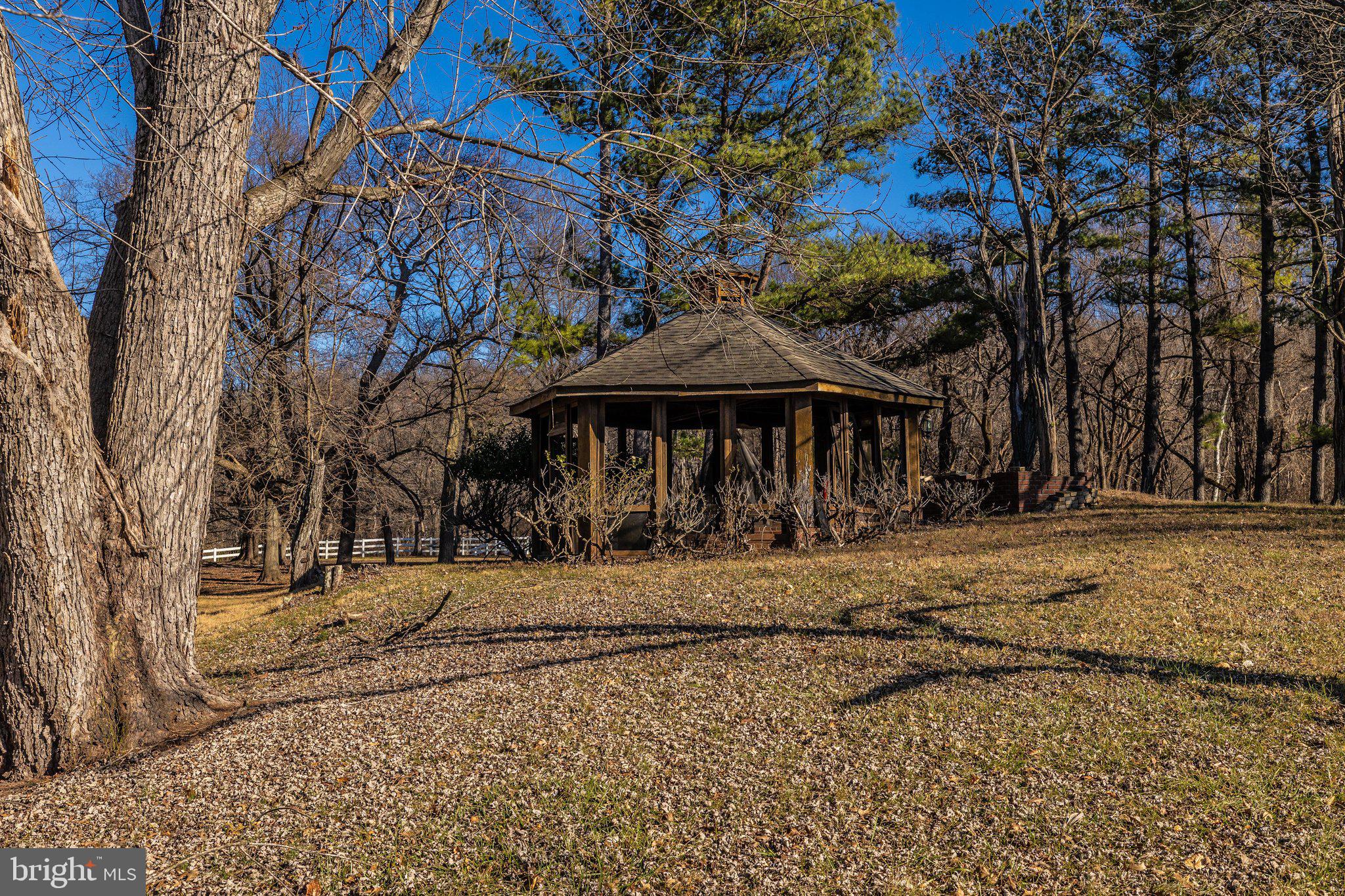 24009 Whites Ferry Road Dickerson, MD 20842 - Photo 52 of 72 EK_07062