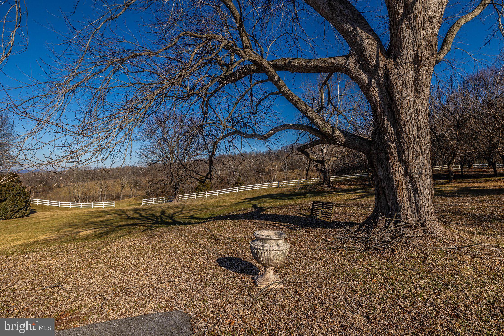 24009 Whites Ferry Road Dickerson, MD 20842 - Photo 56 of 72 EK_07075