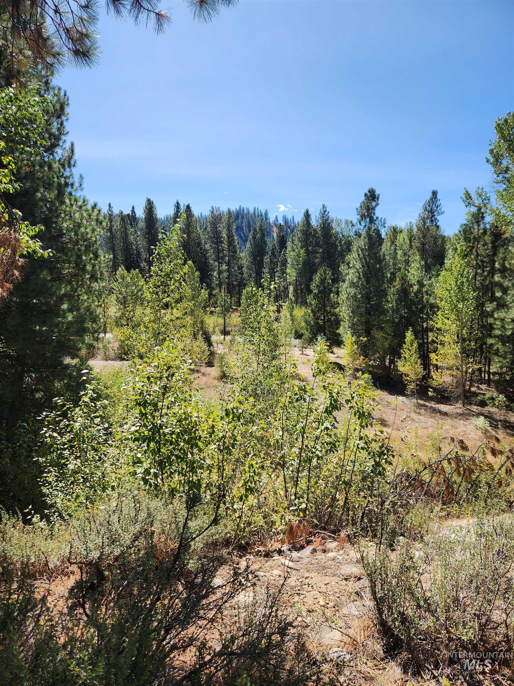 Tbd East River Road Mountain Home, ID 83647 - Photo 5 of 11 Gallery Image 5