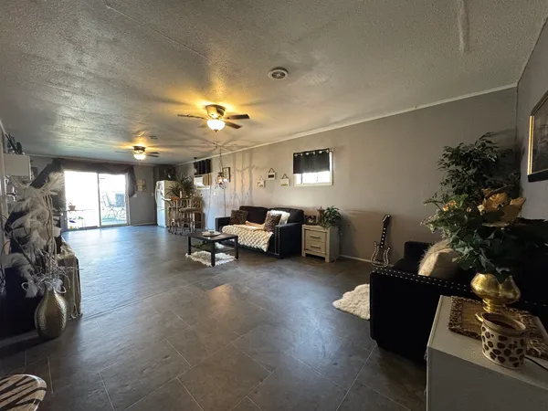 a living room with furniture and a potted plant