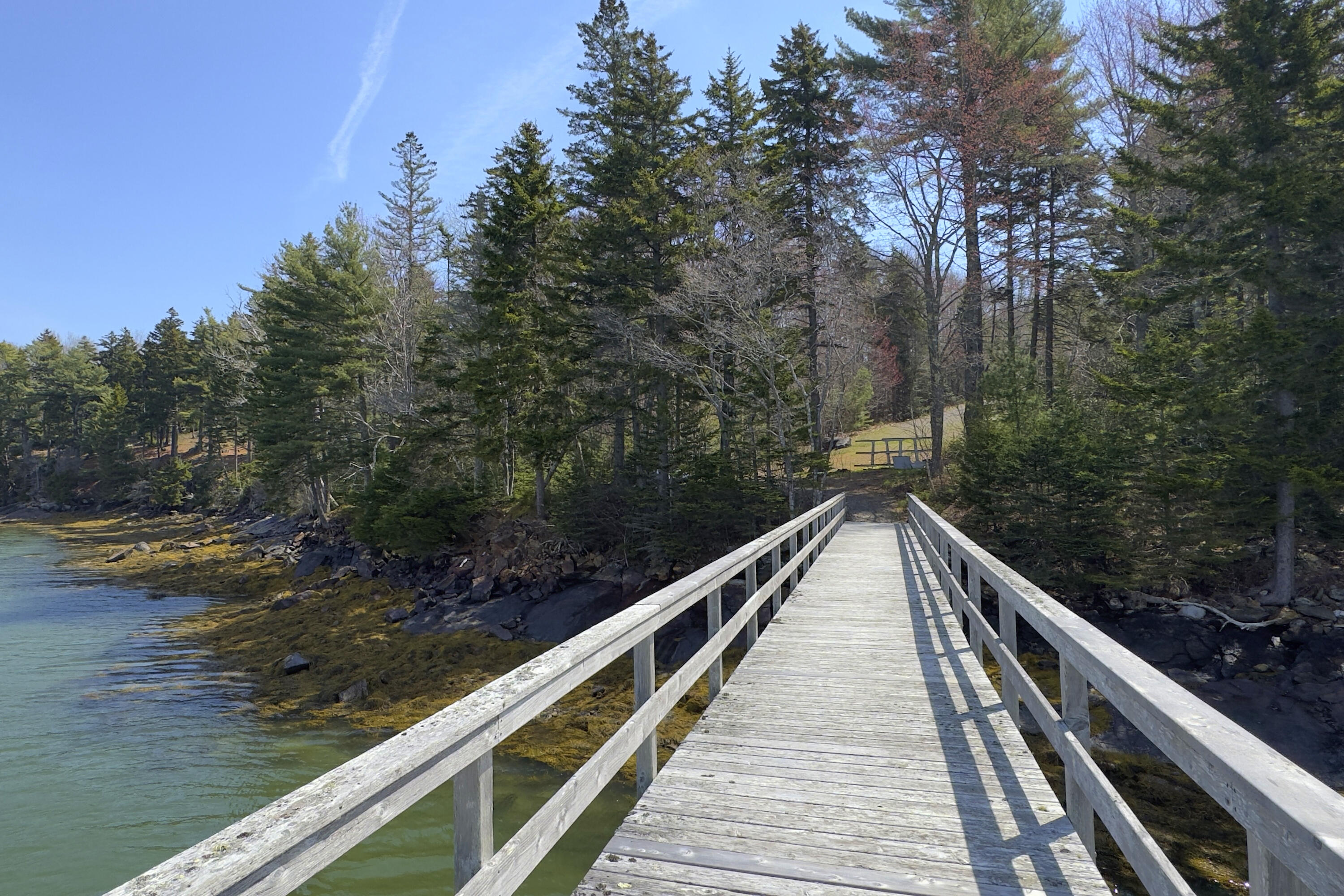 17 North Ridge Road Cushing, ME 04563 - Photo 47 of 50 88- 17 North Ridge Road - Cushing - JAC