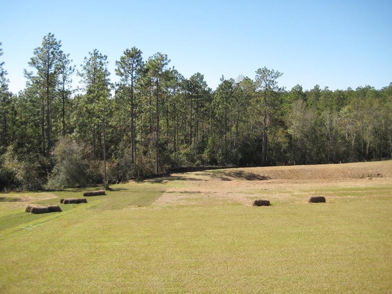 33921 Rutland Lane Daphne, AL 36527 - Photo 4 of 22
