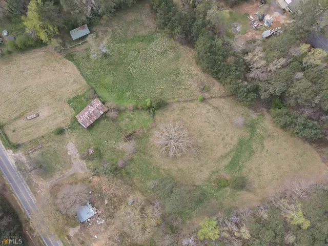 a close up of a plant in a bathroom