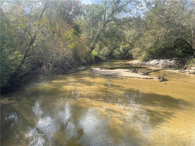 Tbd Spinks Road Folsom, LA 70437 - Photo 3 of 6