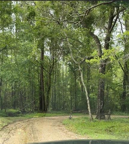 Tbd Spinks Road Folsom, LA 70437 - Photo 5 of 6