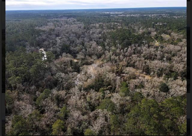Tbd Spinks Road Folsom, LA 70437 - Photo 6 of 6