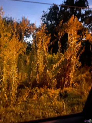 $17,000 | 3851 Uncas Street, Baton Rouge, LA 70805