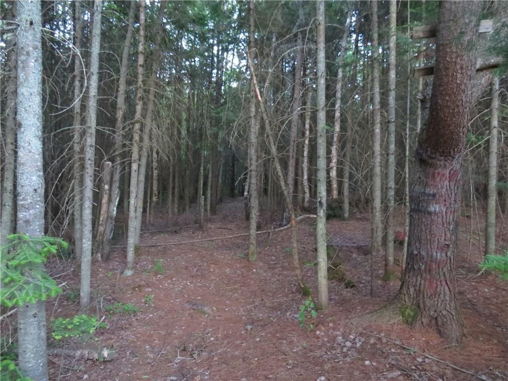 0 Autumn Street Fort Kent, ME 04743 - Photo 4 of 6 Walking path into the property