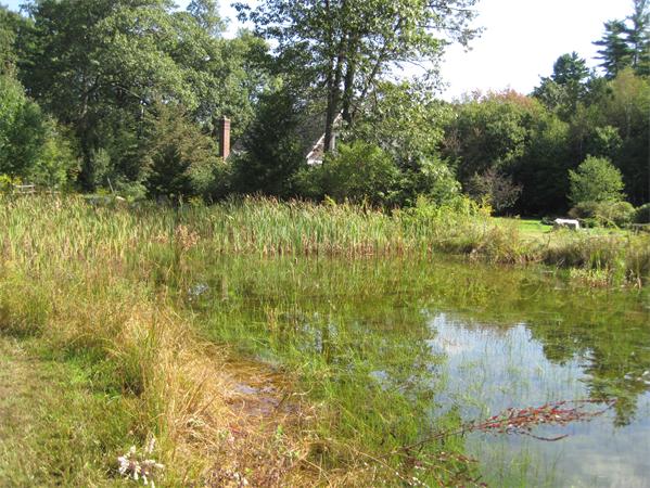 76 Taylor Road Stow, MA 01775 - Photo 27 of 27 a view of lake view