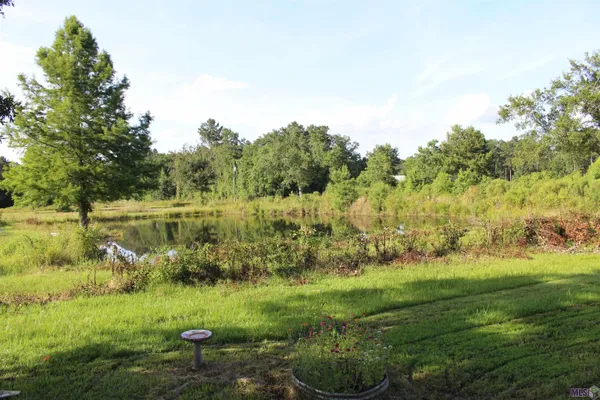 $250,000 | 13505 Springfield Road, Walker, LA 70785