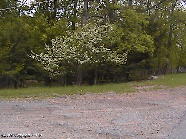 106 Lake In The Clouds Road Canadensis, PA 18325 - Photo 4 of 9 Corner Lot