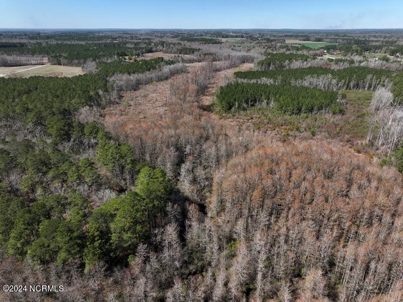 Tbd McGougan Road Lumber Bridge, NC 28357 - Photo 12 of 16 DJI_20240312142549_0148_D