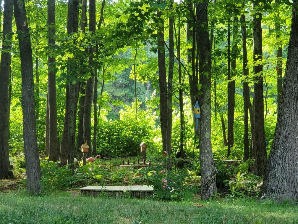 2 Westwoods Road Kennebunk, ME 04043 - Photo 36 of 36 Backyard