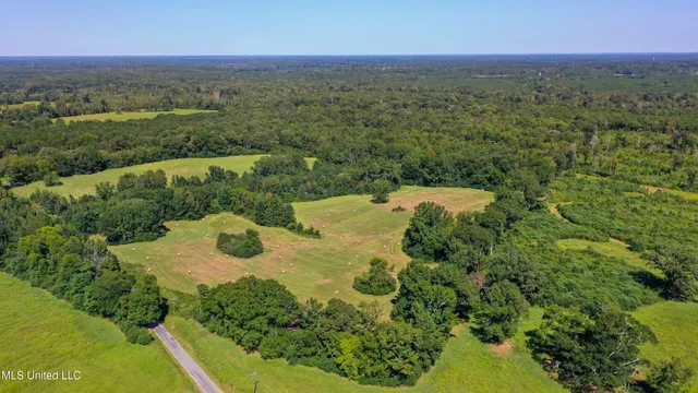 $262,200 | Clifton Road, Forest, MS 39074