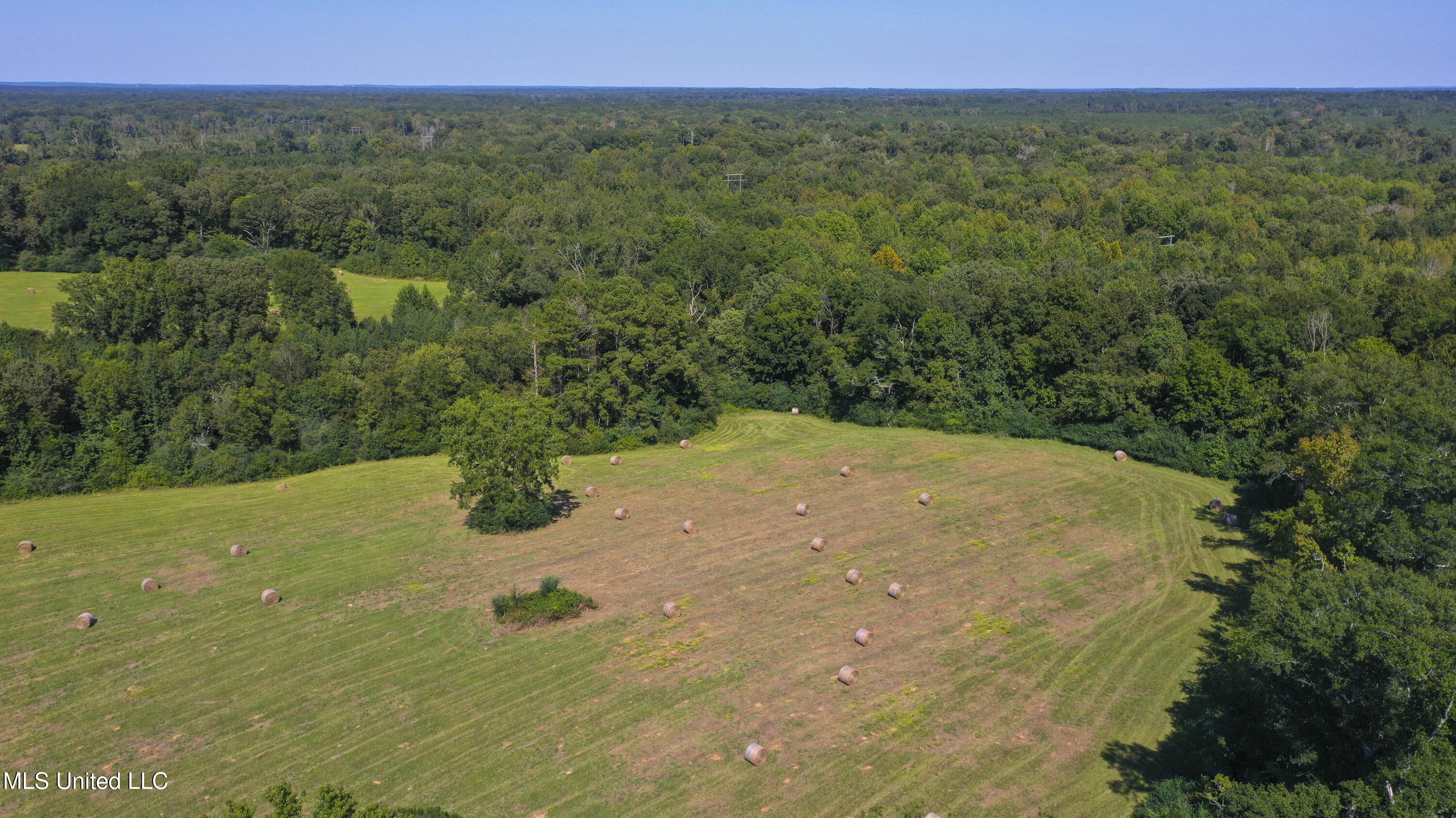 Clifton Road Forest, MS 39074 - Photo 12 of 25 Clifton Rd-60 Acres-10