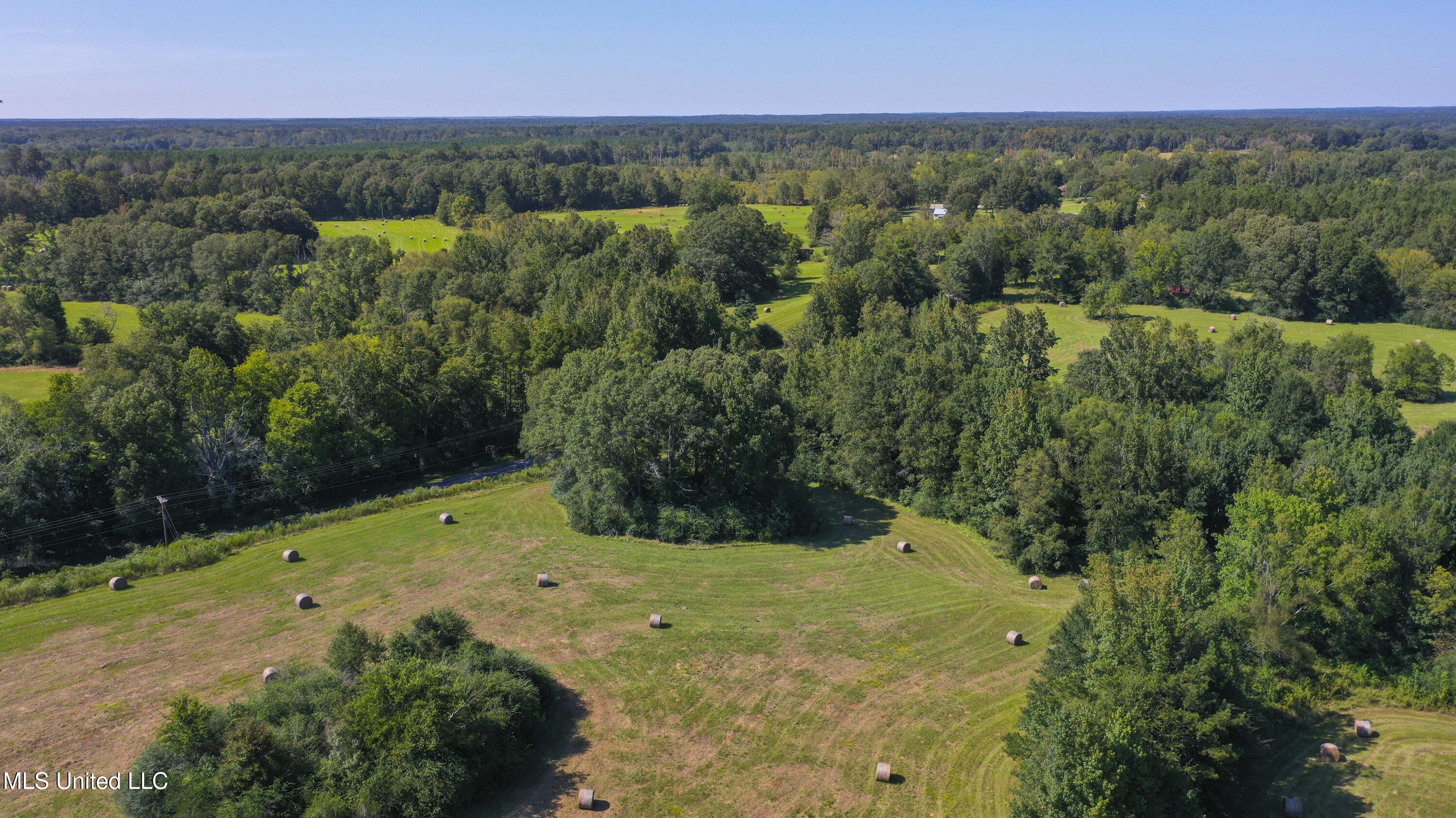 Clifton Road Forest, MS 39074 - Photo 13 of 25 Clifton Rd-60 Acres-11