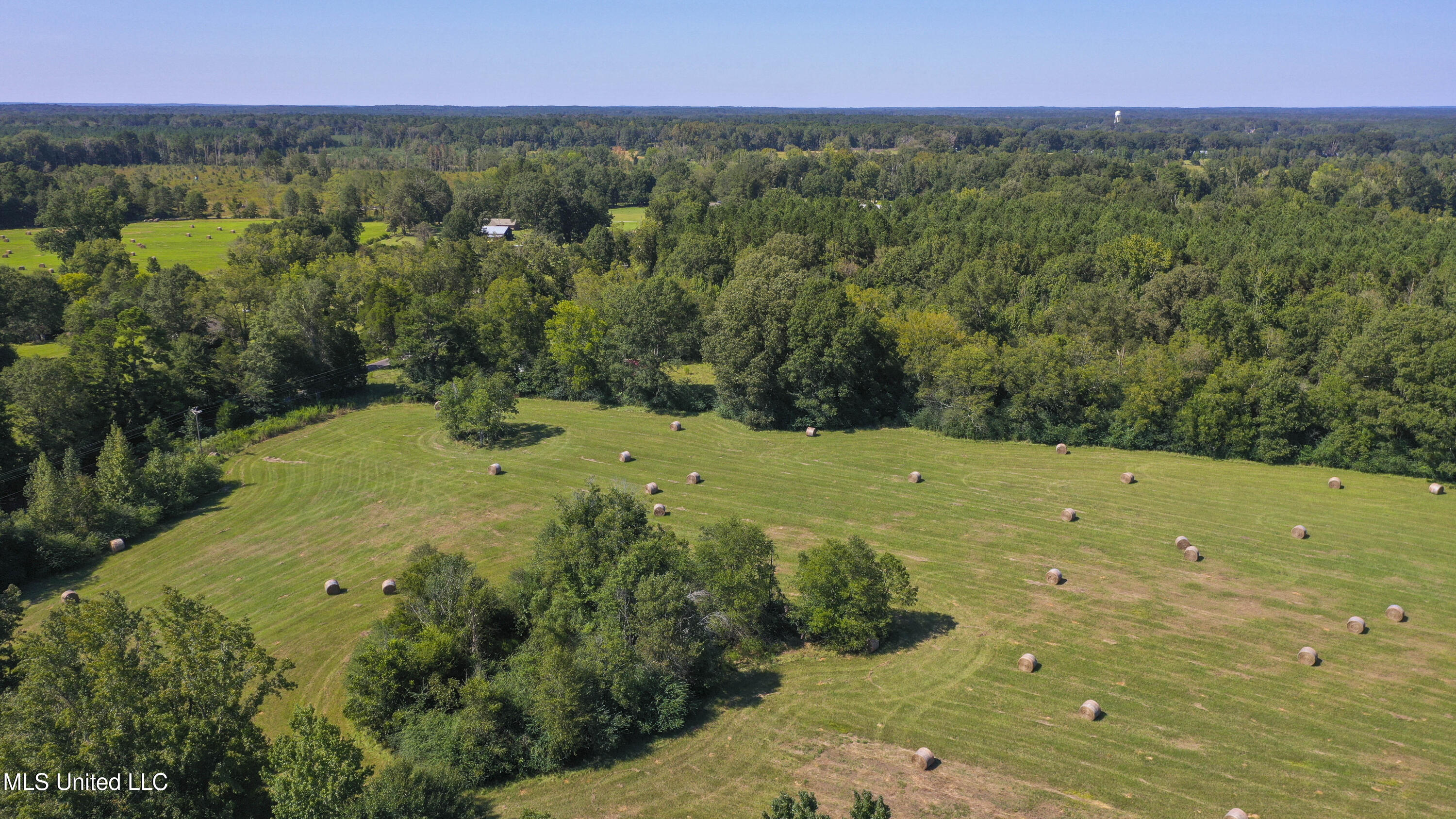 Clifton Road Forest, MS 39074 - Photo 15 of 25 Clifton Rd-60 Acres-13