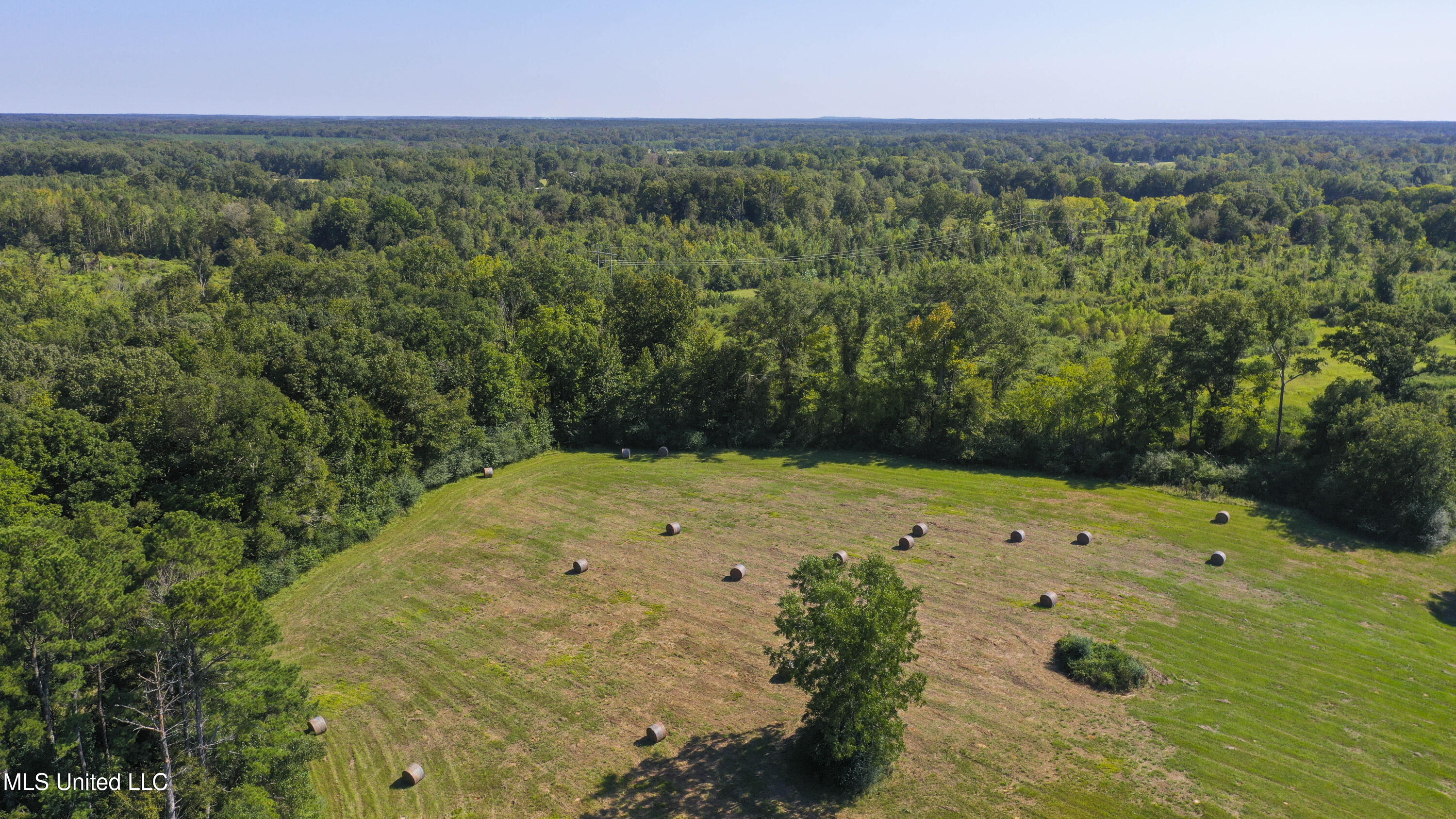 Clifton Road Forest, MS 39074 - Photo 16 of 25 Clifton Rd-60 Acres-14