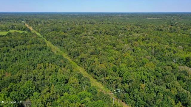 $262,200 | Clifton Road, Forest, MS 39074