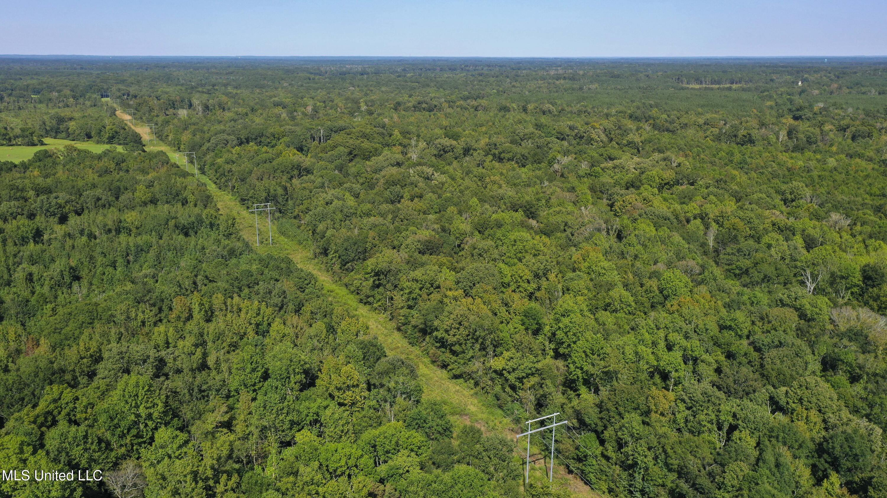 Clifton Road Forest, MS 39074 - Photo 17 of 25 Clifton Rd-60 Acres-15