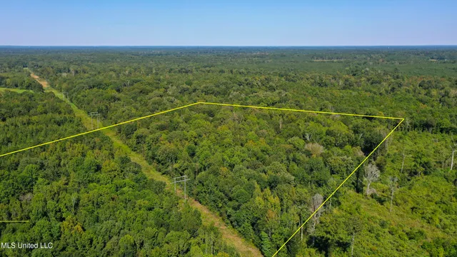 $262,200 | Clifton Road, Forest, MS 39074