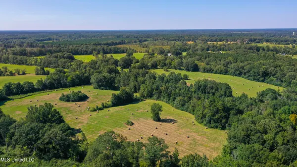 $248,000 | Clifton Road, Forest, MS 39074