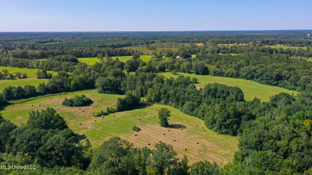 $262,200 | Clifton Road, Forest, MS 39074