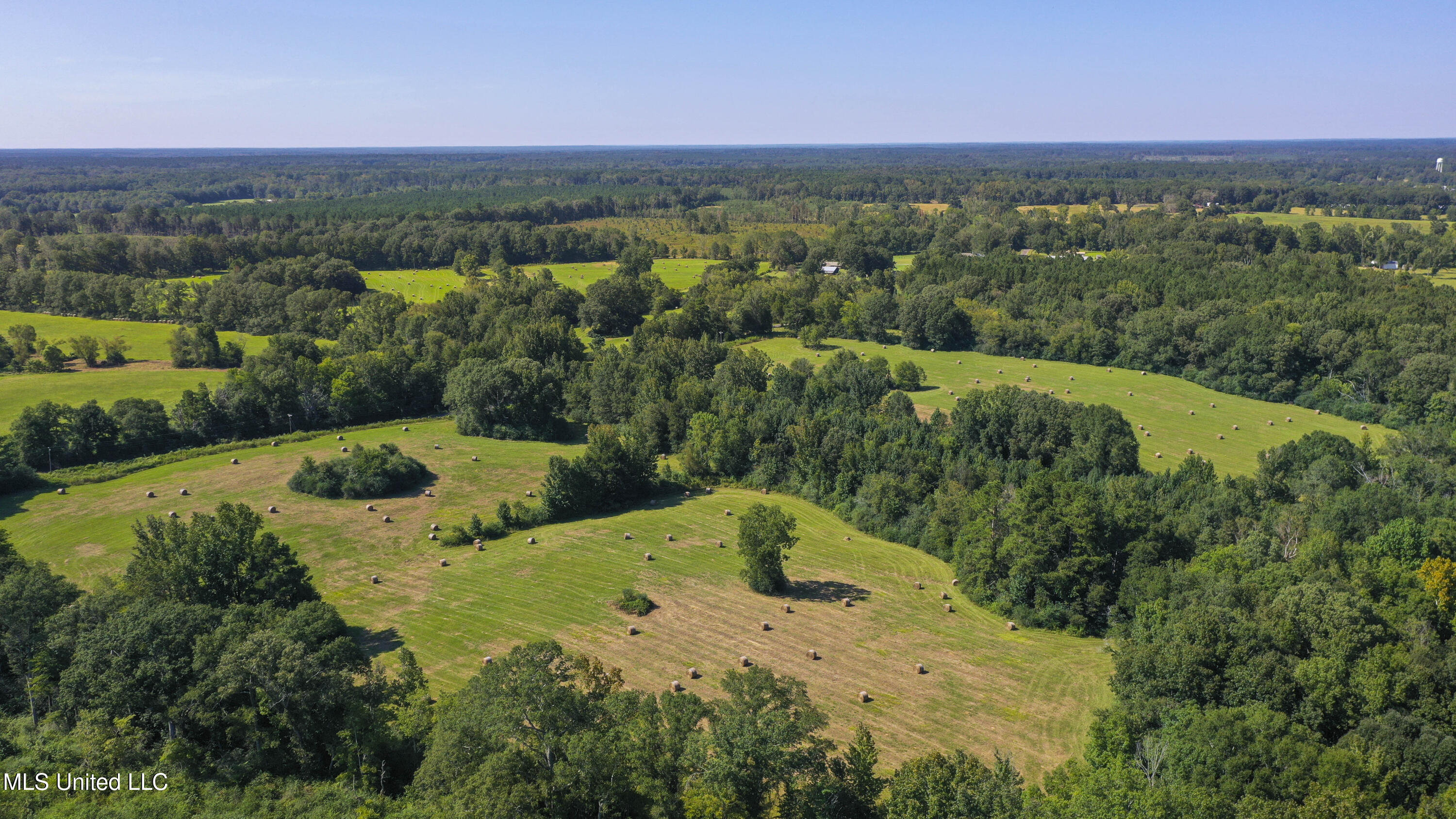 Clifton Road Forest, MS 39074 - Photo 19 of 25 Clifton Rd-60 Acres-18