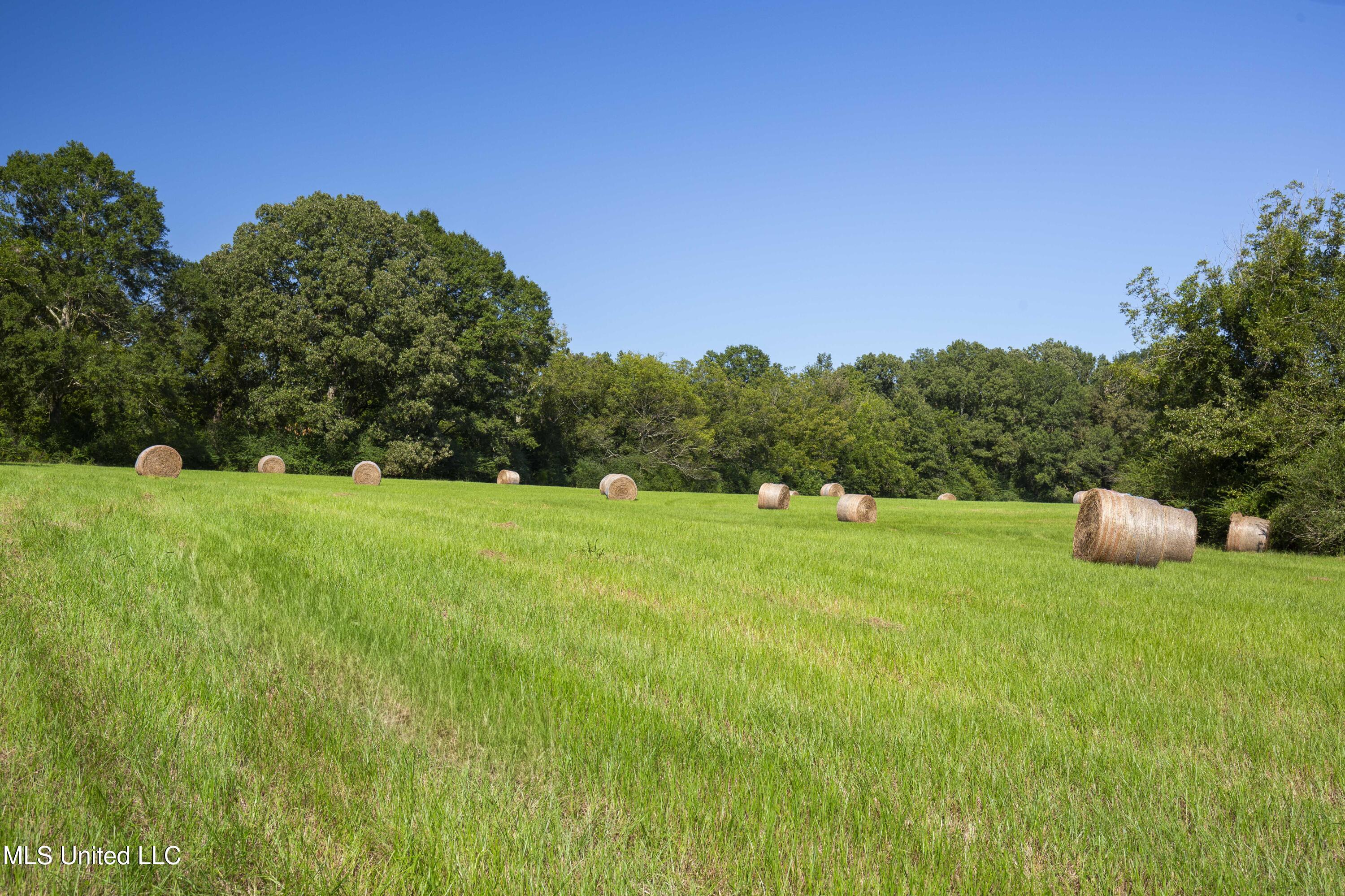 Clifton Road Forest, MS 39074 - Photo 22 of 25 Clifton Rd-60 Acres-20