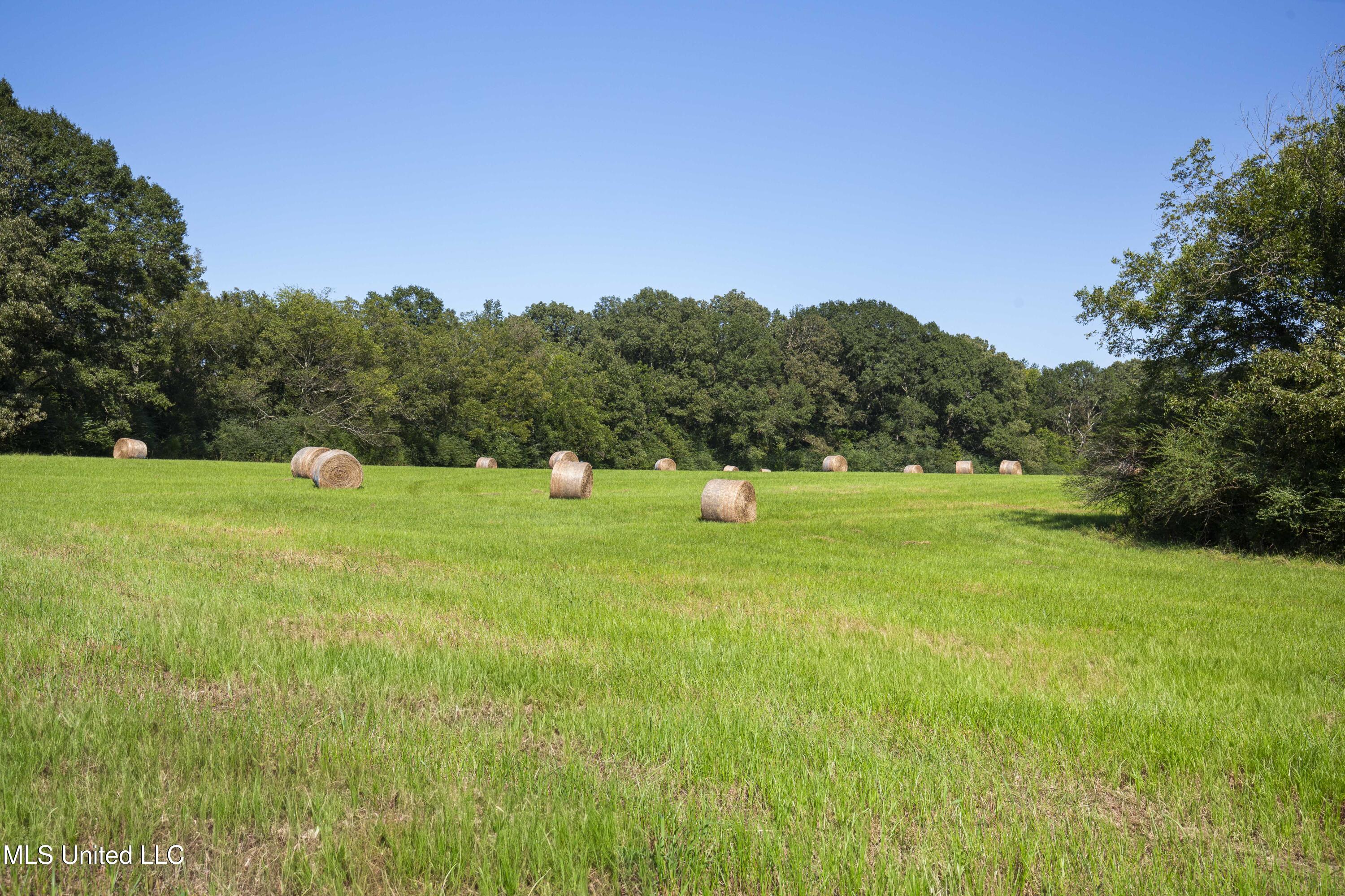 Clifton Road Forest, MS 39074 - Photo 23 of 25 Clifton Rd-60 Acres-21