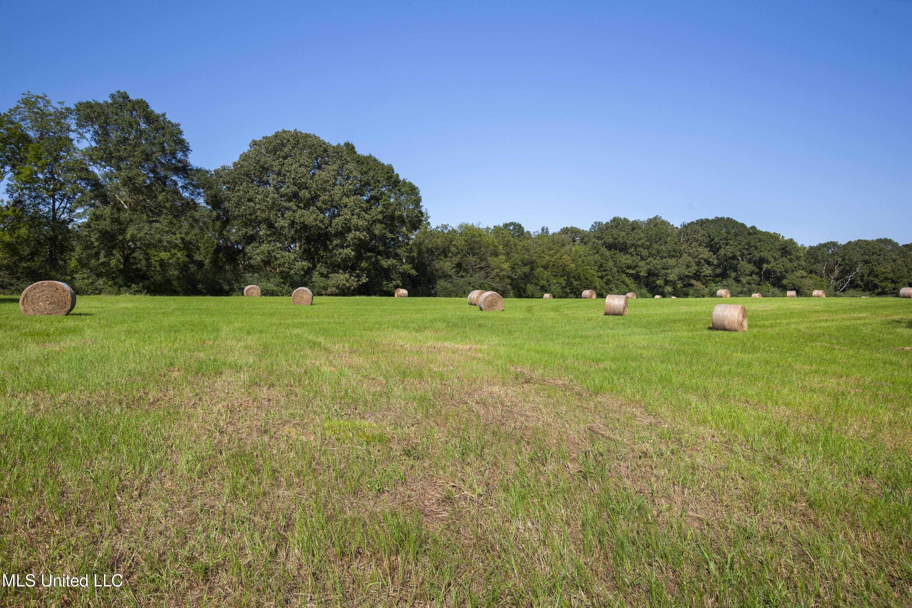 Clifton Road Forest, MS 39074 - Photo 24 of 25 Clifton Rd-60 Acres-22